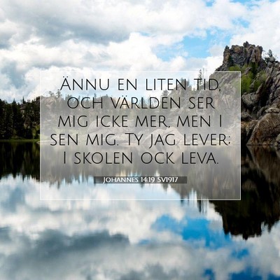 Johannes 14:19 SV1917 Bild av bibelvers