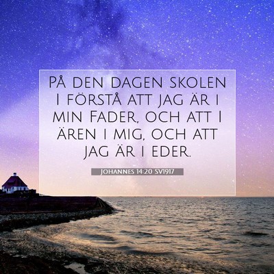 Johannes 14:20 SV1917 Bild av bibelvers