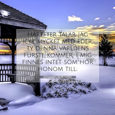 Johannes 14:30 SV1917 Bild av bibelvers