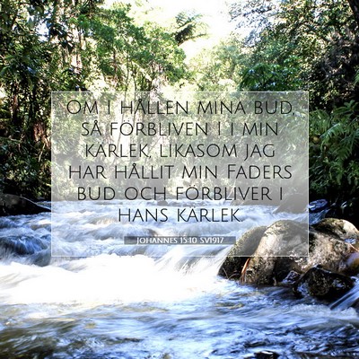 Johannes 15:10 SV1917 Bild av bibelvers