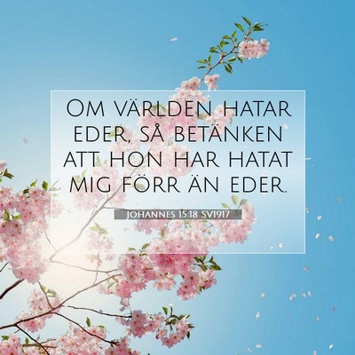 Johannes 15:18 SV1917 Bild av bibelvers