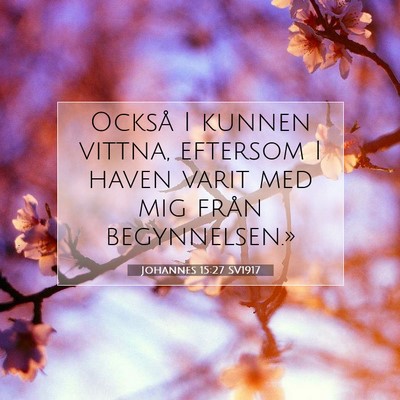 Johannes 15:27 SV1917 Bild av bibelvers