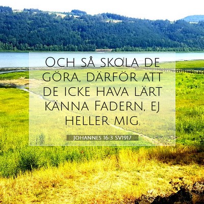Johannes 16:3 SV1917 Bild av bibelvers