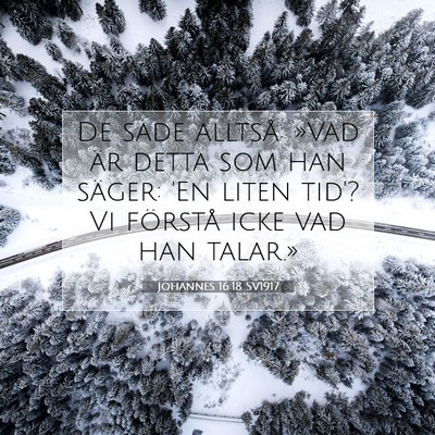 Johannes 16:18 SV1917 Bild av bibelvers