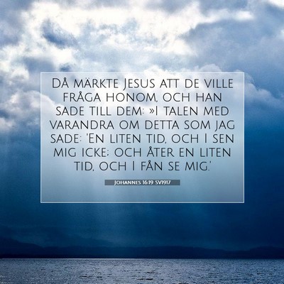 Johannes 16:19 Bibelvers Förklarad