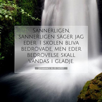 Johannes 16:20 SV1917 Bild av bibelvers