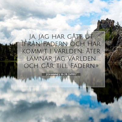 Johannes 16:28 SV1917 Bild av bibelvers
