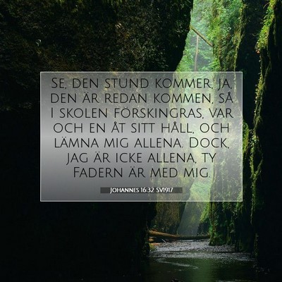 Johannes 16:32 SV1917 Bild av bibelvers