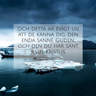 Johannes 17:3 SV1917 Bild av bibelvers