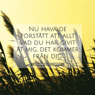 Johannes 17:7 Bibelvers Förklarad