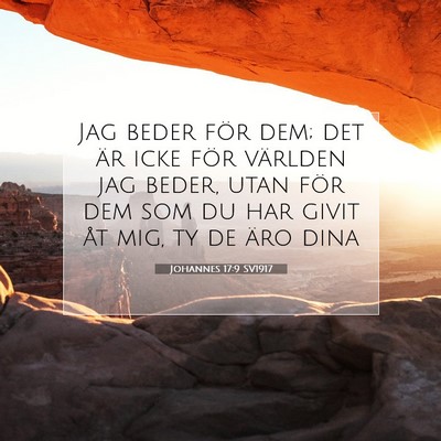 Johannes 17:9 SV1917 Bild av bibelvers