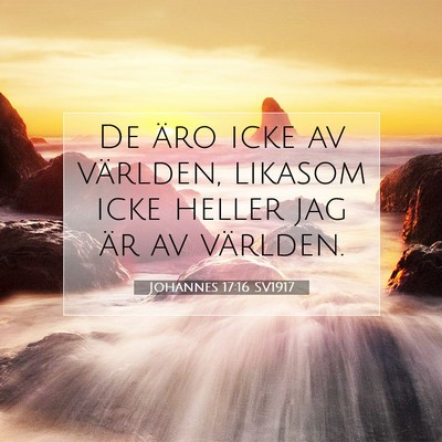 Johannes 17:16 SV1917 Bild av bibelvers