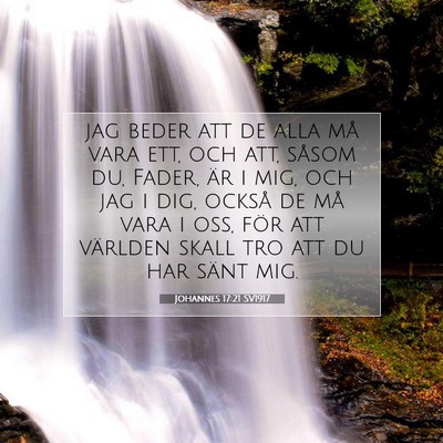 Johannes 17:21 SV1917 Bild av bibelvers