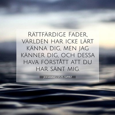 Johannes 17:25 SV1917 Bild av bibelvers