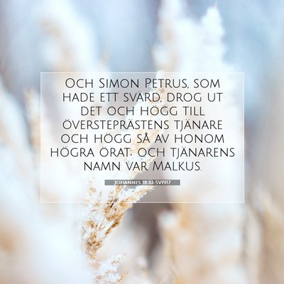 Johannes 18:10 Bibelvers Förklarad
