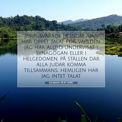 Johannes 18:20 SV1917 Bild av bibelvers