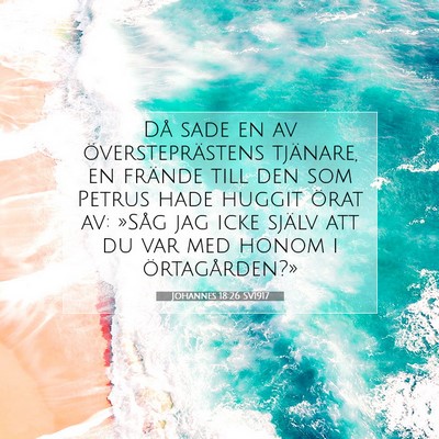 Johannes 18:26 Bibelvers Förklarad