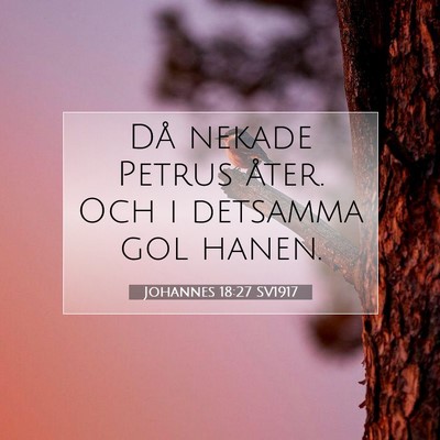 Johannes 18:27 Bibelvers Förklarad