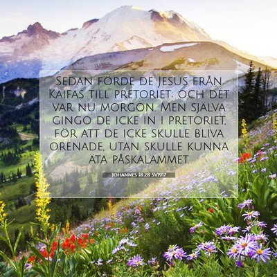 Johannes 18:28 SV1917 Bild av bibelvers