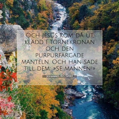 Johannes 19:5 SV1917 Bild av bibelvers