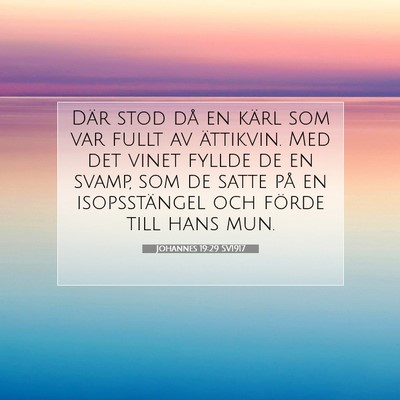 Johannes 19:29 Bibelvers Förklarad