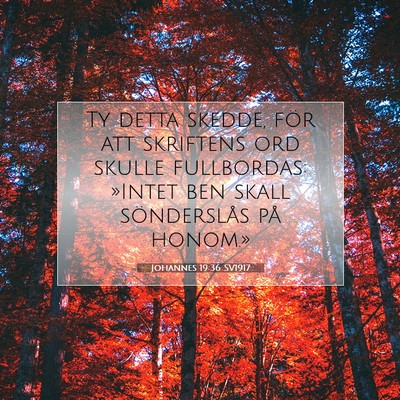 Johannes 19:36 Bibelvers Förklarad