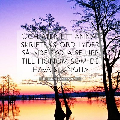Johannes 19:37 SV1917 Bild av bibelvers
