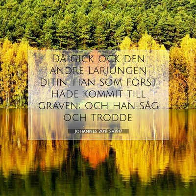 Johannes 20:8 Bibelvers Förklarad