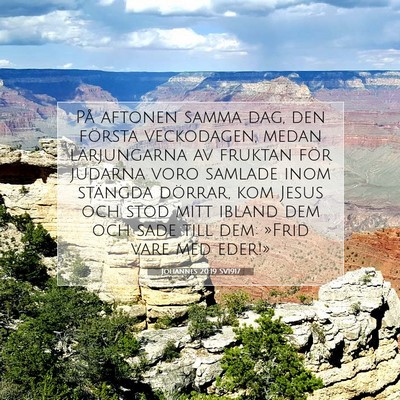Johannes 20:19 SV1917 Bild av bibelvers