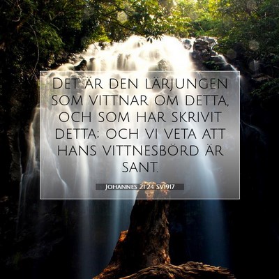 Johannes 21:24 SV1917 Bild av bibelvers
