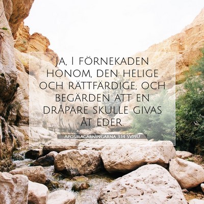 Apostlagärningarna 3:14 SV1917 Bild av bibelvers