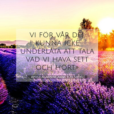 Apostlagärningarna 4:20 SV1917 Bild av bibelvers