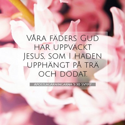 Apostlagärningarna 5:30 SV1917 Bild av bibelvers
