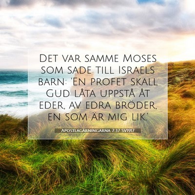 Apostlagärningarna 7:37 SV1917 Bild av bibelvers