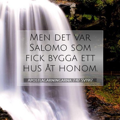 Apostlagärningarna 7:47 SV1917 Bild av bibelvers