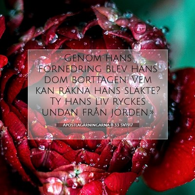 Apostlagärningarna 8:33 Bibelvers Förklarad