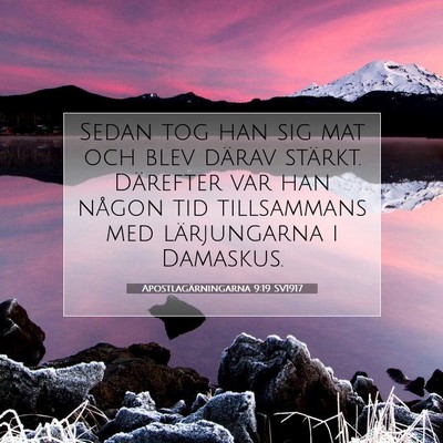 Apostlagärningarna 9:19 SV1917 Bild av bibelvers
