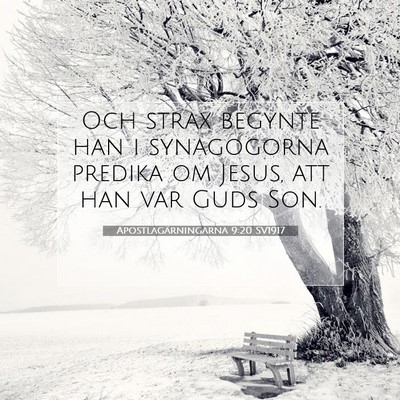 Apostlagärningarna 9:20 SV1917 Bild av bibelvers