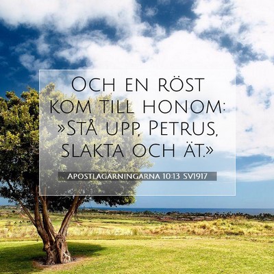 Apostlagärningarna 10:13 SV1917 Bild av bibelvers