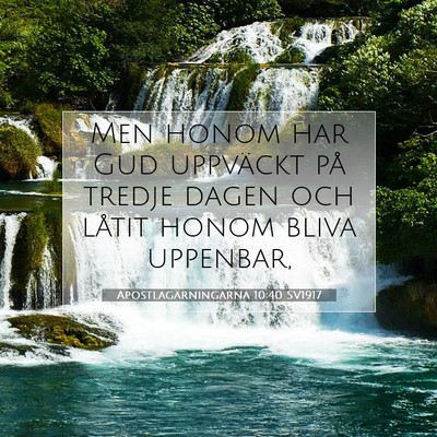 Apostlagärningarna 10:40 SV1917 Bild av bibelvers