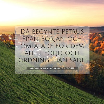 Apostlagärningarna 11:4 SV1917 Bild av bibelvers