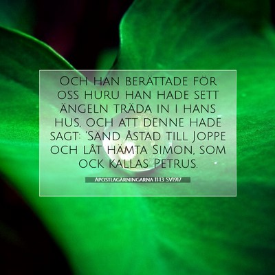 Apostlagärningarna 11:13 SV1917 Bild av bibelvers