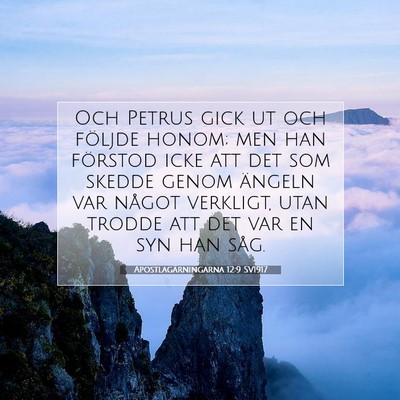 Apostlagärningarna 12:9 SV1917 Bild av bibelvers