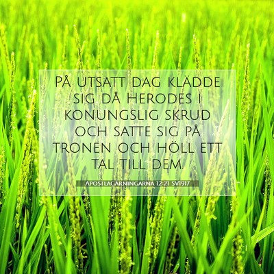 Apostlagärningarna 12:21 Bibelvers Förklarad
