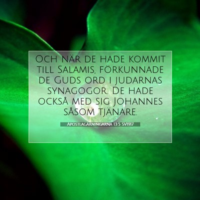 Apostlagärningarna 13:5 Bibelvers Förklarad