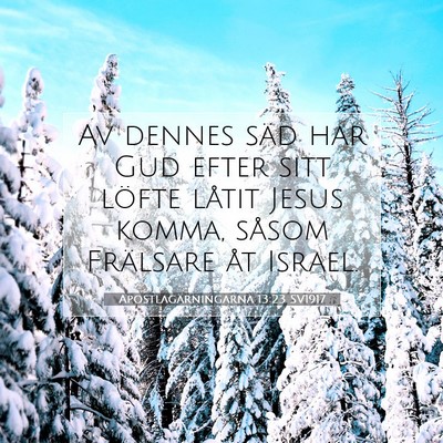 Apostlagärningarna 13:23 Bibelvers Förklarad