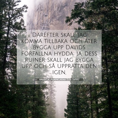 Apostlagärningarna 15:16 SV1917 Bild av bibelvers