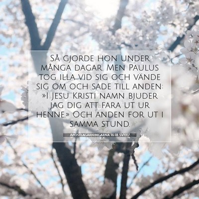 Apostlagärningarna 16:18 Bibelvers Förklarad