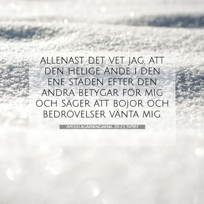Apostlagärningarna 20:23 SV1917 Bild av bibelvers