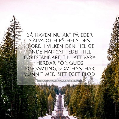 Apostlagärningarna 20:28 SV1917 Bild av bibelvers